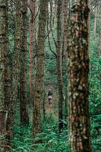 BIB: 
                            <button type="button" onclick="openModal(25235623)" class="btn btn-primary btn-sm float-right btn-popup" data-toggle="modal" data-target=".modal-high-quality">
                        <i class="fas fa-shopping-cart"></i> Add to Cart
                    </button>
                                            <button type="button" onclick="isThisMe(25235623, true)" class="btn btn-success btn-sm float-right btn-popup btn-isme hidden" data-toggle="tooltip" data-placement="bottom" title="นี่คือรูปของคุณใช่ไหม คลิกที่นี่เพื่อเอาเข้าอัลบั้ม">
                        <i class="fas fa-plus"></i> Add to album
                    </button>
                    <button type="button" onclick="isThisMe(25235623, false)" class="btn btn-warning btn-sm float-right btn-popup btn-isnotme hidden">
                        <i class="fas fa-ban"></i> Remove from album
                    </button>